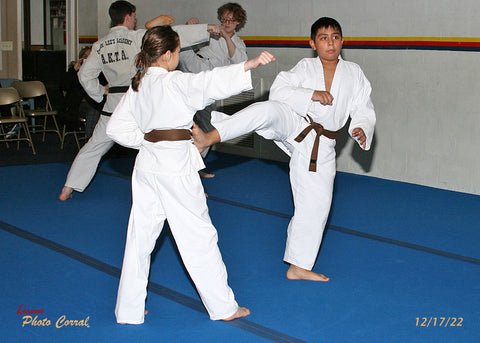 TKD1120