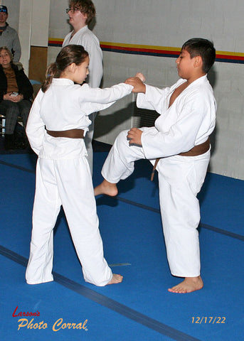 TKD1132