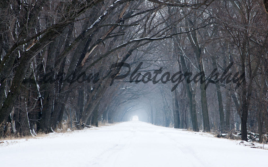 Snow Tunnel