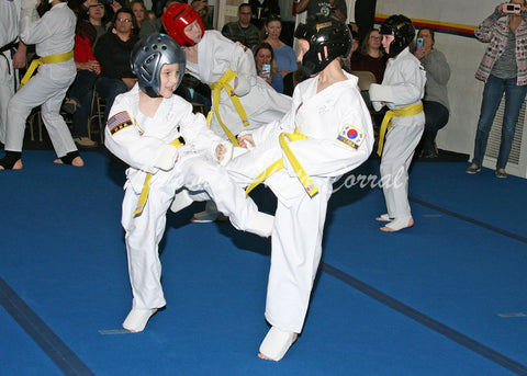 TKD3013