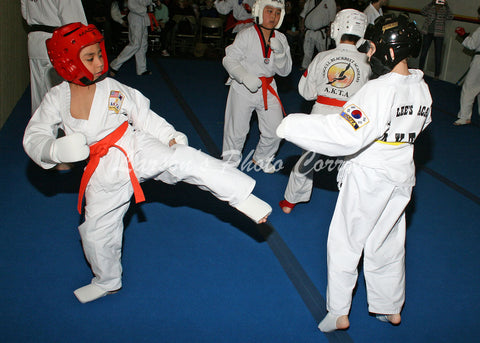 TKD3019